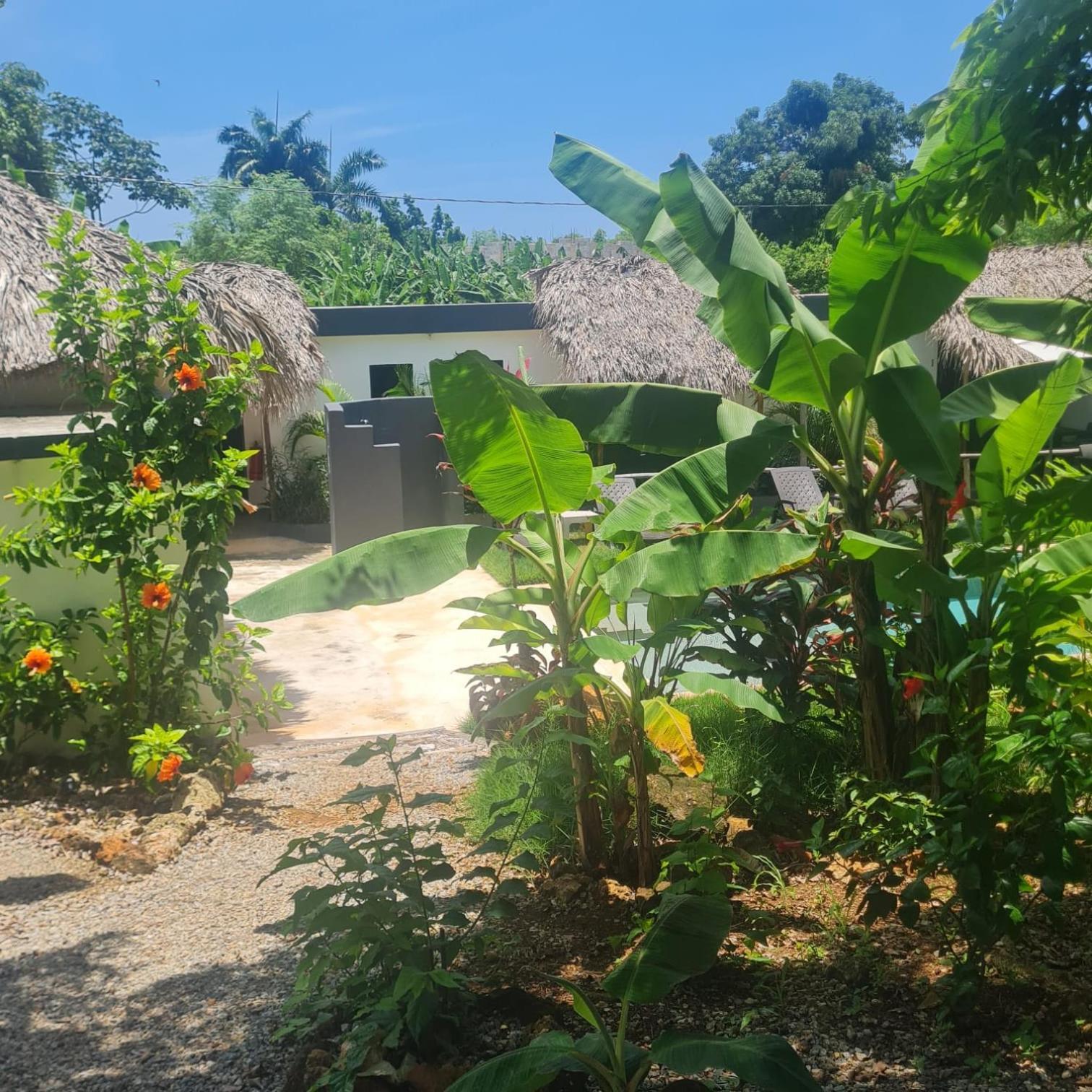 Bungalows Colibri Las Galeras Ngoại thất bức ảnh